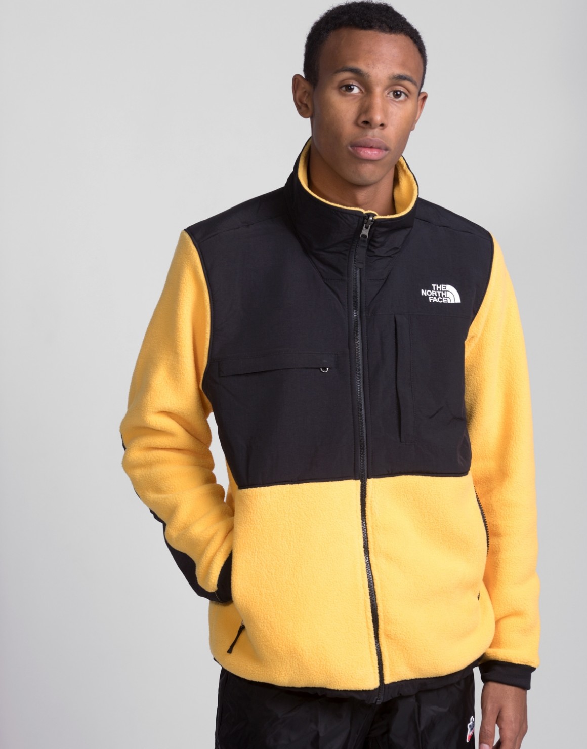 Denali 2 Jacket