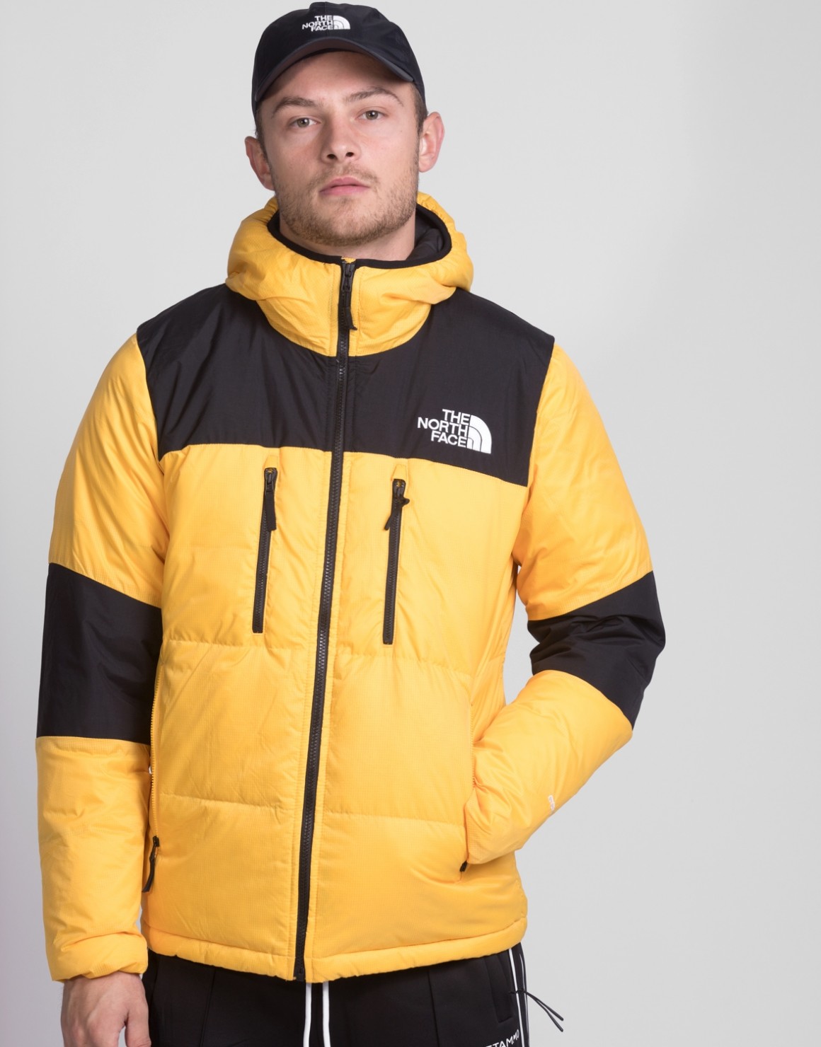 the north face him light down hood